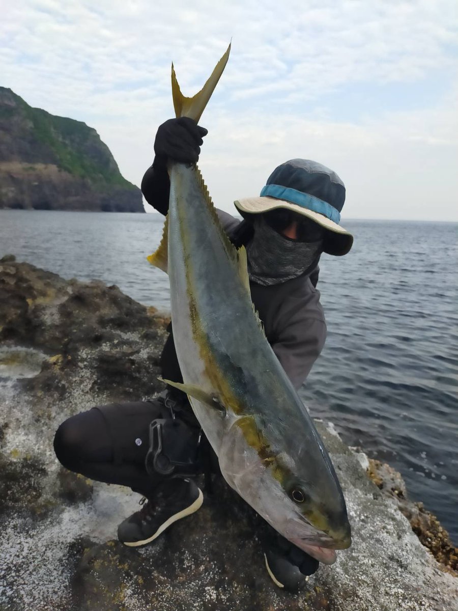 マツモト tweet media