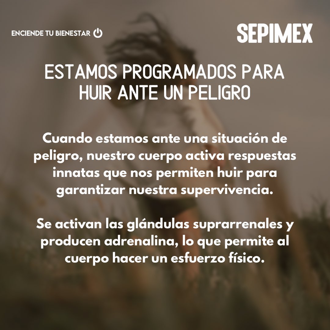 SEPIMEX's tweet photo. ¿Sabías que la Psicología puede estar en muchos aspectos de nuestra vida cotidiana?

Hoy en el día de la Psicología en México, descubre cómo es que está en nuestras vidas https://t.co/piIw7Uk4Sl