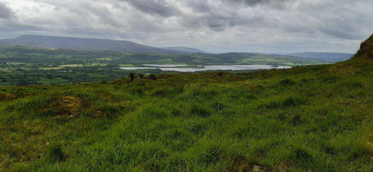 It may not look much to the casual observer, but Dense-flowered Orchid is the main event on a visit to Ireland. Yesterday we counted 80+ on a spectacular hillside in Co. Fermanagh, today 17 more in an extensive dune system in Co. Donegal.
Our timing was perfect too👌