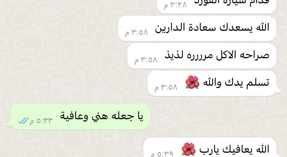 كان الغداء رز بالشعيرية سلطة ملوخية