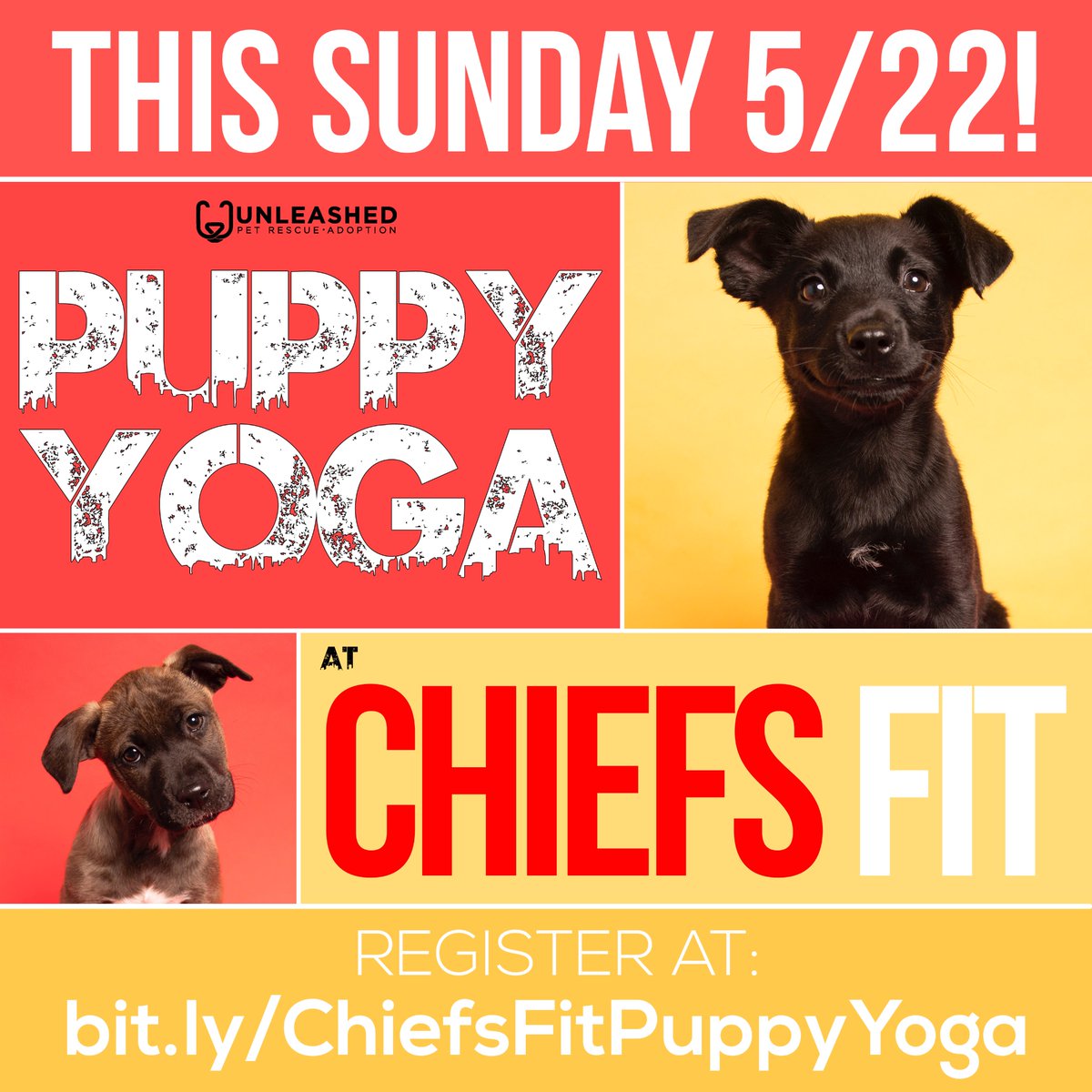 PUPPY YOGA in the heart of Overland Park at Chiefs Fit THIS SUNDAY!
❤️🧘‍♀️🧘🐶💛
Each class is $35 and all proceeds directly benefit our shelter pets! Classes at 9AM, 10AM &amp; 11AM! 
Register now at bit.ly/ChiefsFitPuppy…