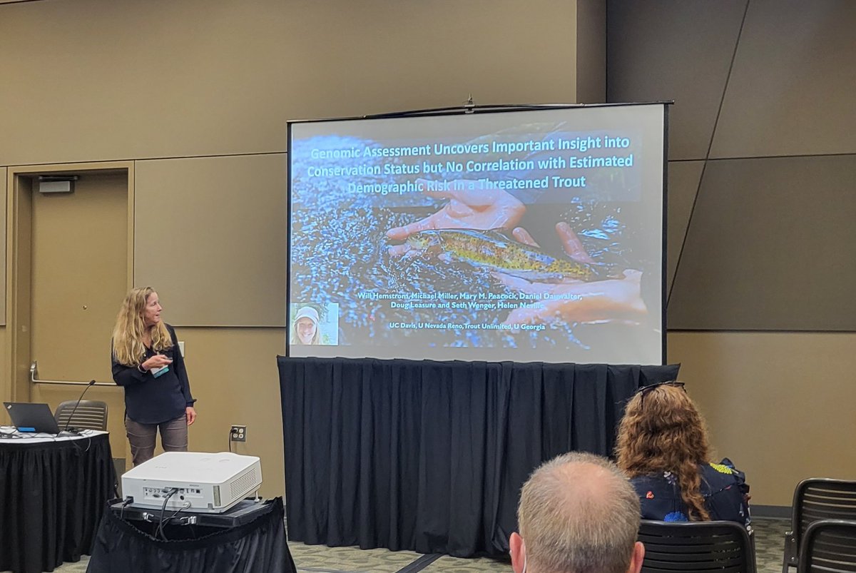 TUScience's tweet photo. @TroutUnlimited Senior Scientist Dr. Helen Neville talking #Lahontan #CuttroatTrout #genetics #hybridization and #populationviability #PVA at #JASM22 #JASM2022 https://t.co/scDNx1ieaA