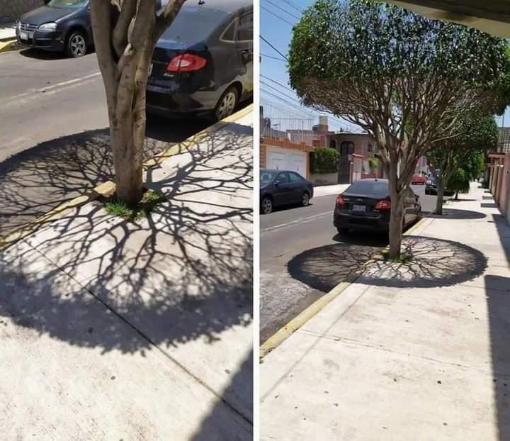 Share your nature pix by using #JustLife 

Starting this following week, we will be doing #TShirtTuesday

Every Tuesday we will pick one person who engages with our tweet of the day to receive a JustLife adventure shirt. 

BONUS: 1 person who RTs this will get a shirt 📫