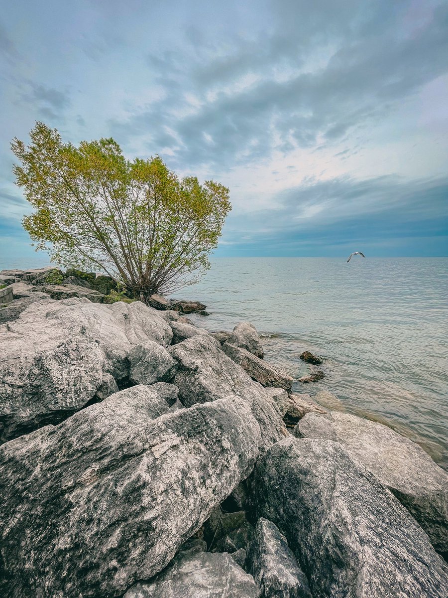 Warm evening 🪨🌿🌊 #Mississauga #FridayVibes #FridayFeeling #longweekendvibes #weekendmood