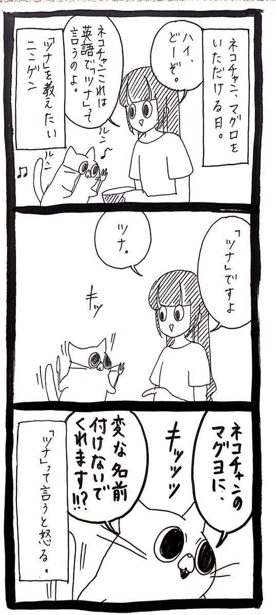 ツナ≠マグロ 