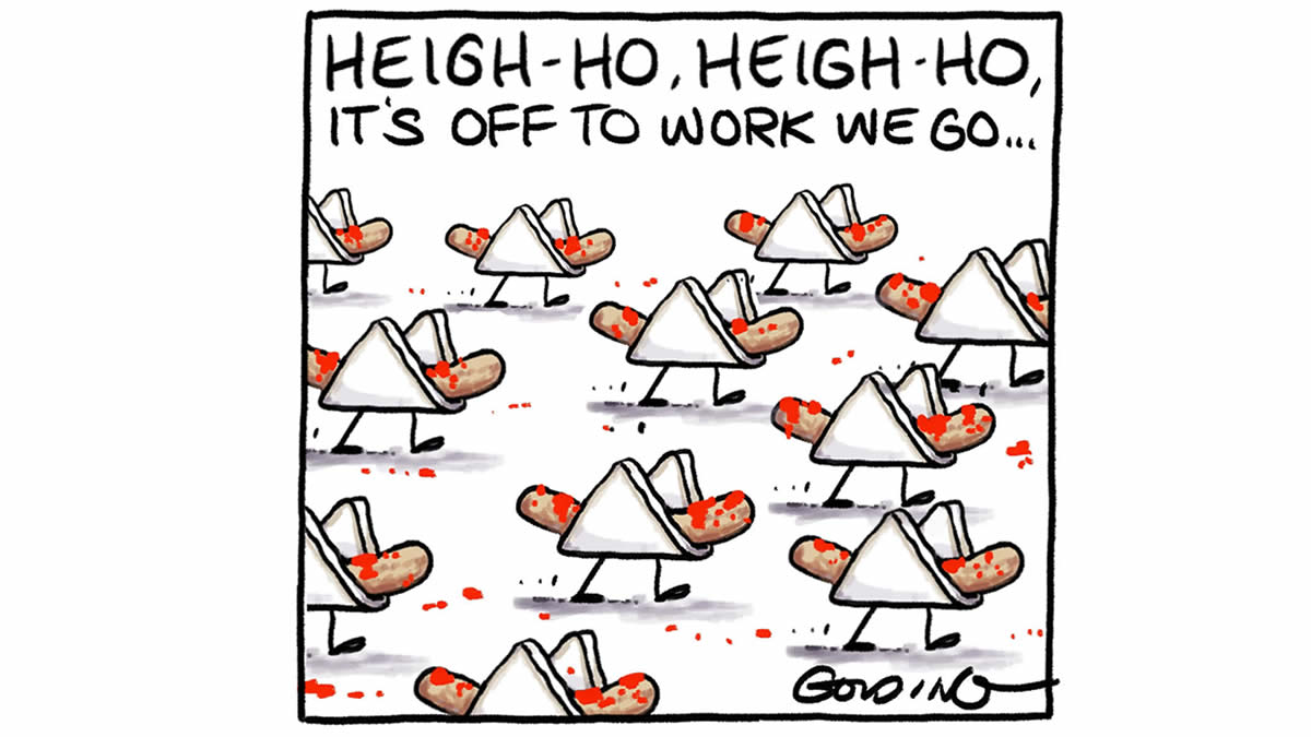 MattGolding Cartoons tweet media