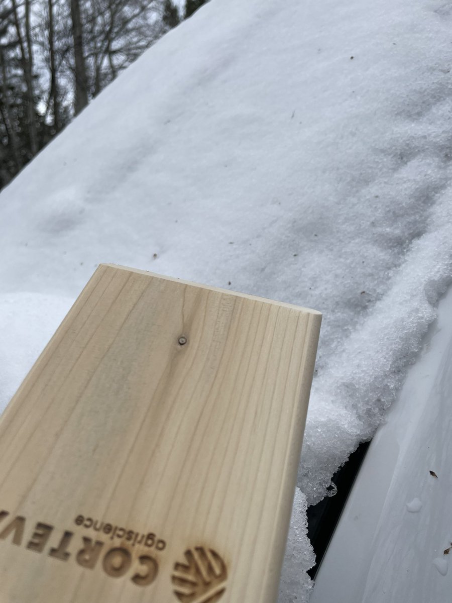 KirkJohn31's tweet photo. Soooo…. Cleaned out the truck/ no snow brush or scraper . Improvise ….#sickofsnow https://t.co/7kJHpMlEZz