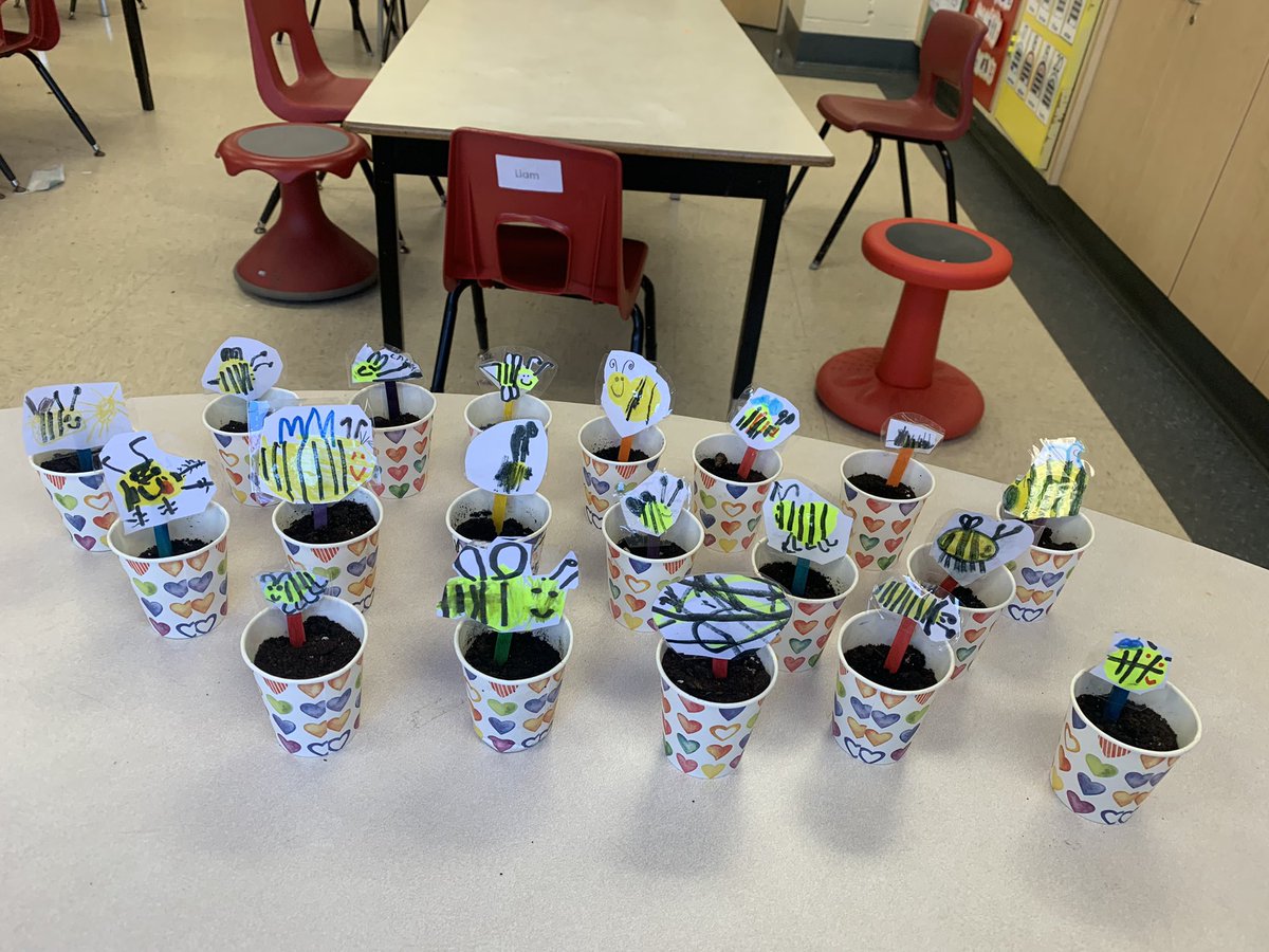 Miss. Bastock tweet media