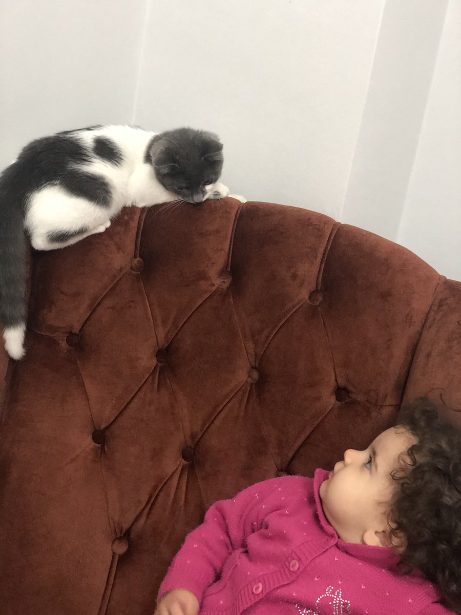 Daha güzel çok az şey gördüm 🐈‍⬛ 👧