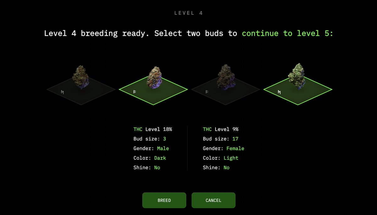 Brunno_UTXO's tweet photo. Holy shit just started beta breeding for @420dotgame @look_labs  and all I can say is WOW. Thanks @GreenGenieDev @RedBeardAPI @StevenLookLabs  and the whole team.. In Genie we trust !💚 https://t.co/tsOncJCVdw