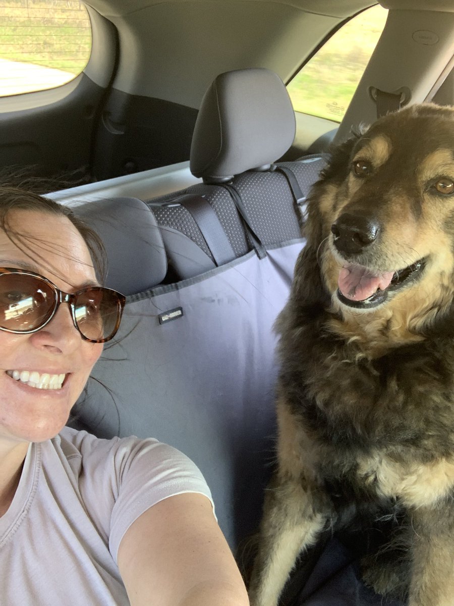 MartinaRogowsky's tweet photo. Just me and my girl #katsy #nationalrescuedogday #adoptdontshop #dogmom #germanshepherdgoldenretrievermix https://t.co/zhBorQLLRD