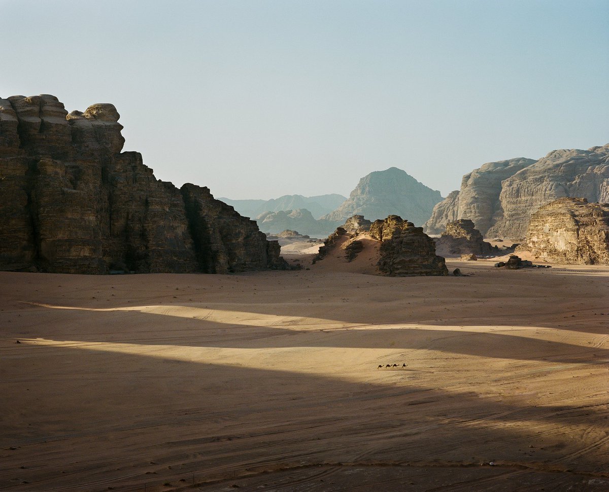 Alex_Broadstock's tweet photo. Camels or ants https://t.co/zC8oIKoGt4