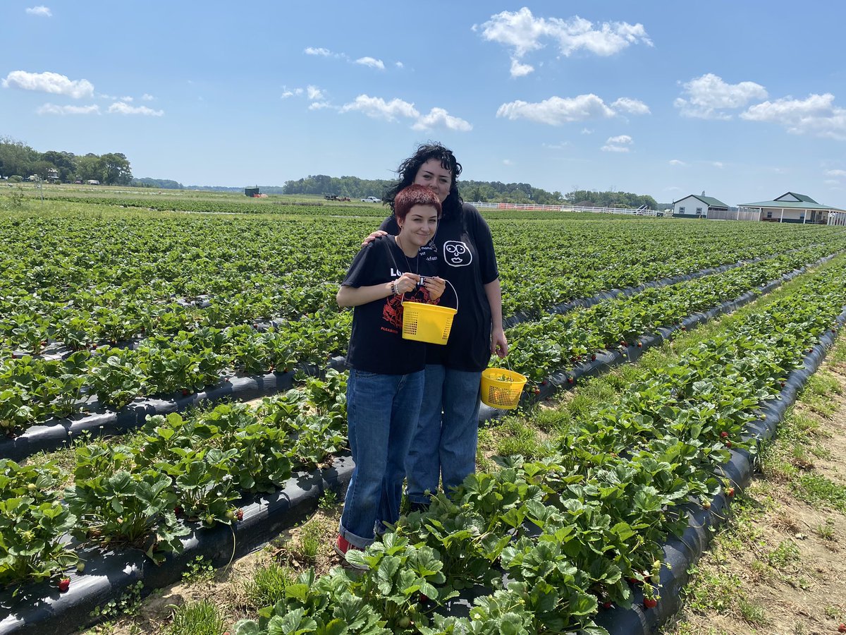 iLabYear5Day156: Thank you Mr. Hitch <a href="/EricHitchII/">Eric Hitch II</a> for taking some of our iLab students strawberry picking this week! As we plant our own iLab garden for the summer, it is awesome and inspiring to see the bounty in our own city first!🍓🍓🍓