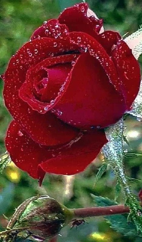 Trust is like a piece of paper, wrinkled, smoothed in time, but also can not be restored to its original form! Don't try to deceive people, because all you can deceive are the people who believe in you.