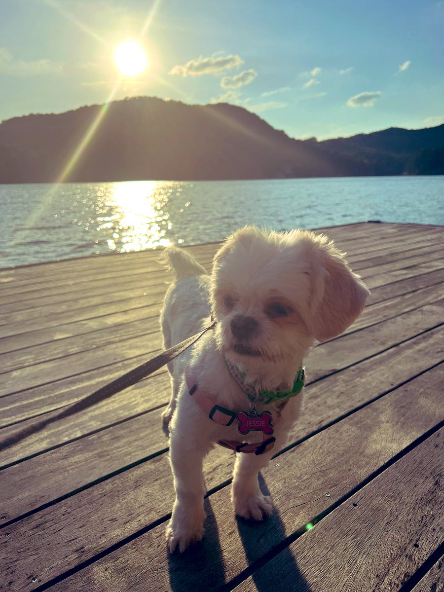 Mary Atchley tweet media