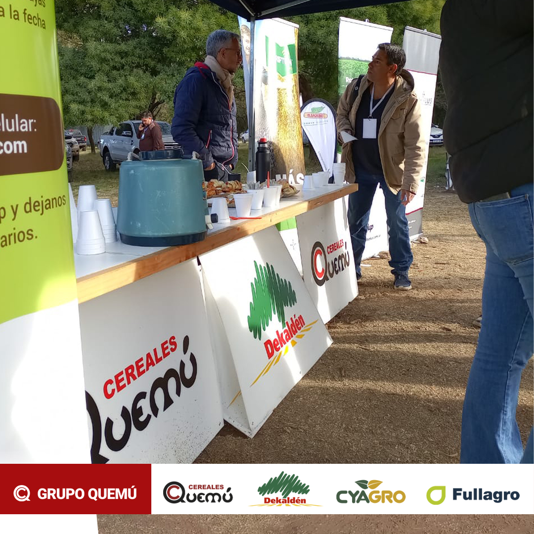 Desde Grupo Quemú, acompañamos a Cafagro en el 2° Encuentro de Monitoreo de Manejo de Cultivos de Invierno en la Facultad de Agronomía de la Universidad Nacional de La Pampa.
Gran joranada de intercambio técnico.
@Bayer4CropsAR 
#GrupoQuemu #CultivosDeInvierno #Monitoreo