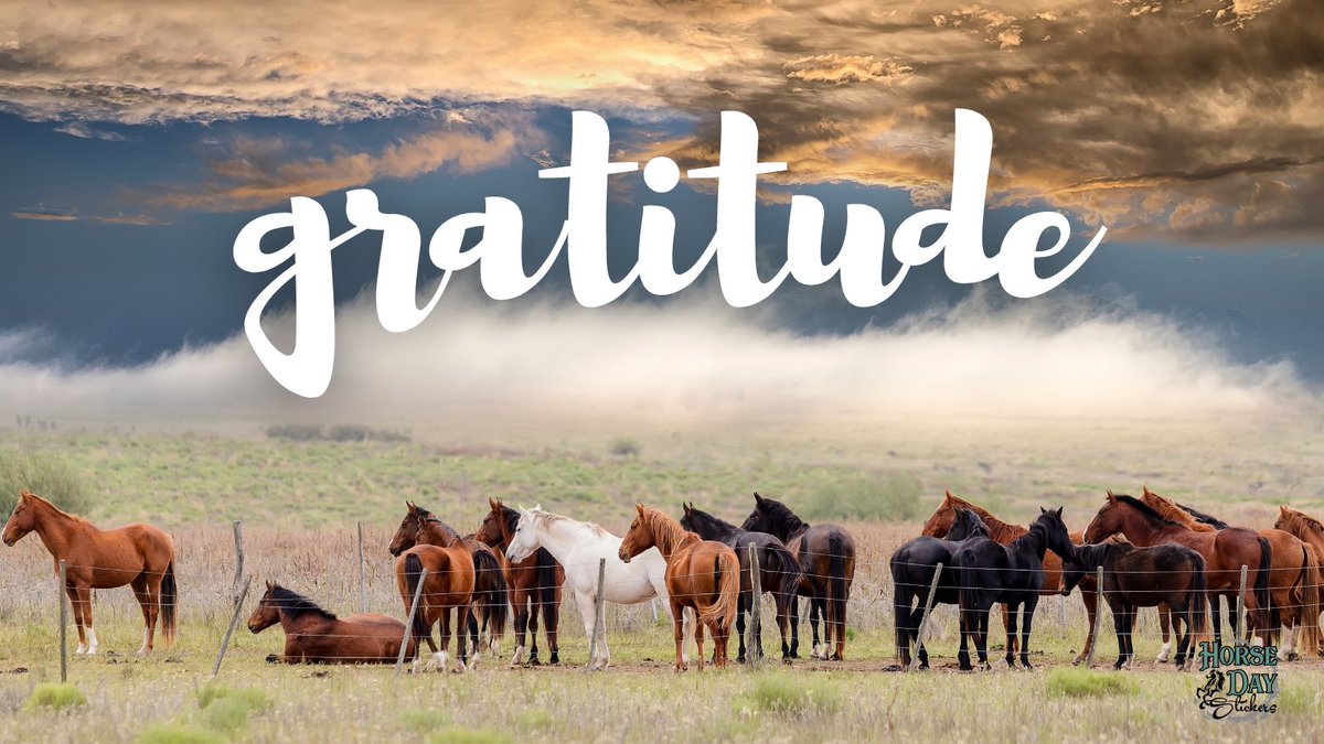 BloomandPeck's tweet photo. #PCSome A great tip for creating images for social media is using the right tools. I used https://t.co/R7vnWssQLe to Create this graphic and add my logo
#horselife #horses #Horseday #hooftrails https://t.co/uT8tk5lud8