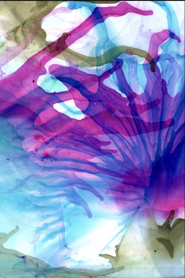 could not have done this without you <a href="/StargazeZone/">Stargaze ✨🔭</a> and frens of $STARS

👀🎨👇"Bioluminescent Papyrus", RePop