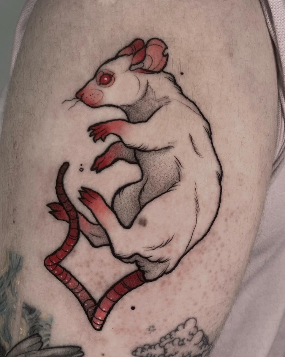 dirty wenujg lover tweet media