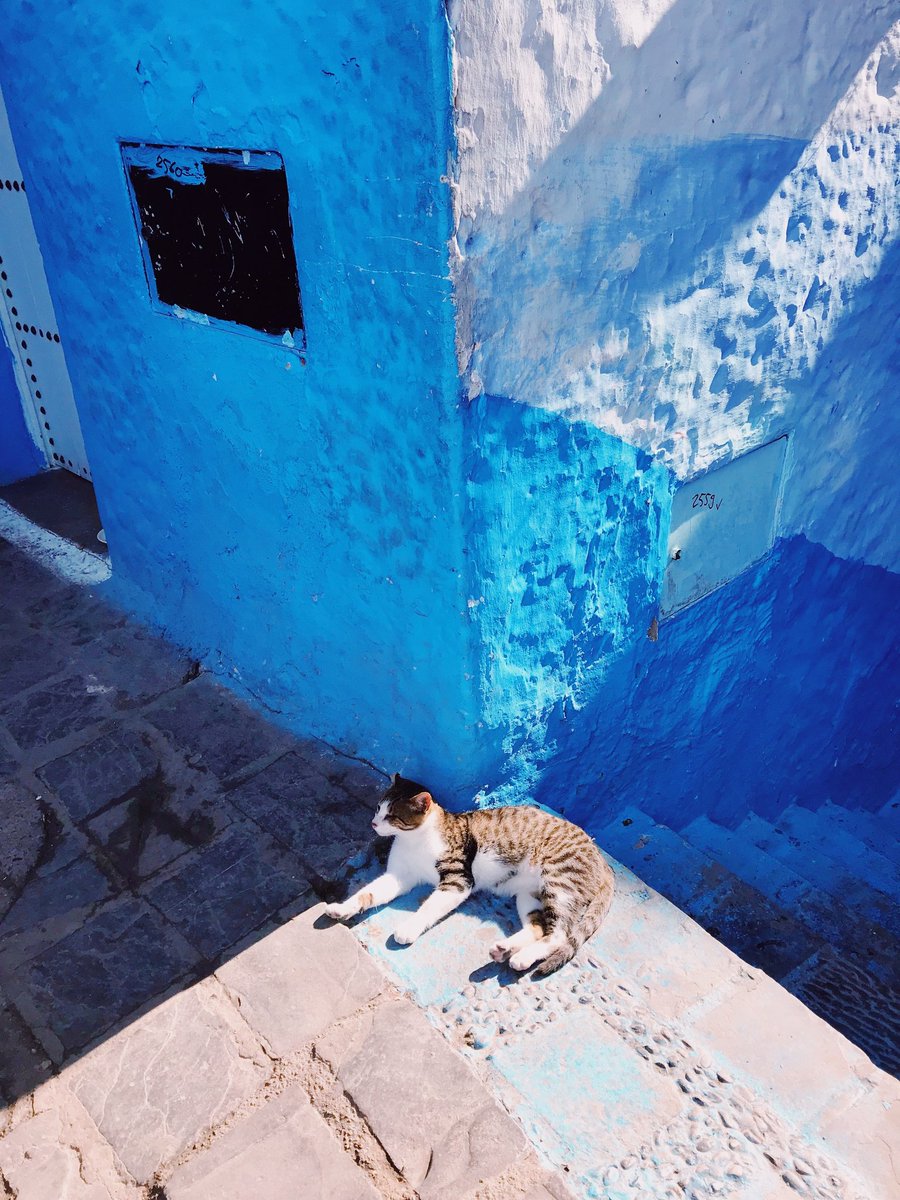 BLZ117's tweet photo. #Moroccan_cities 
the blue city https://t.co/Ku1IT8gAWl