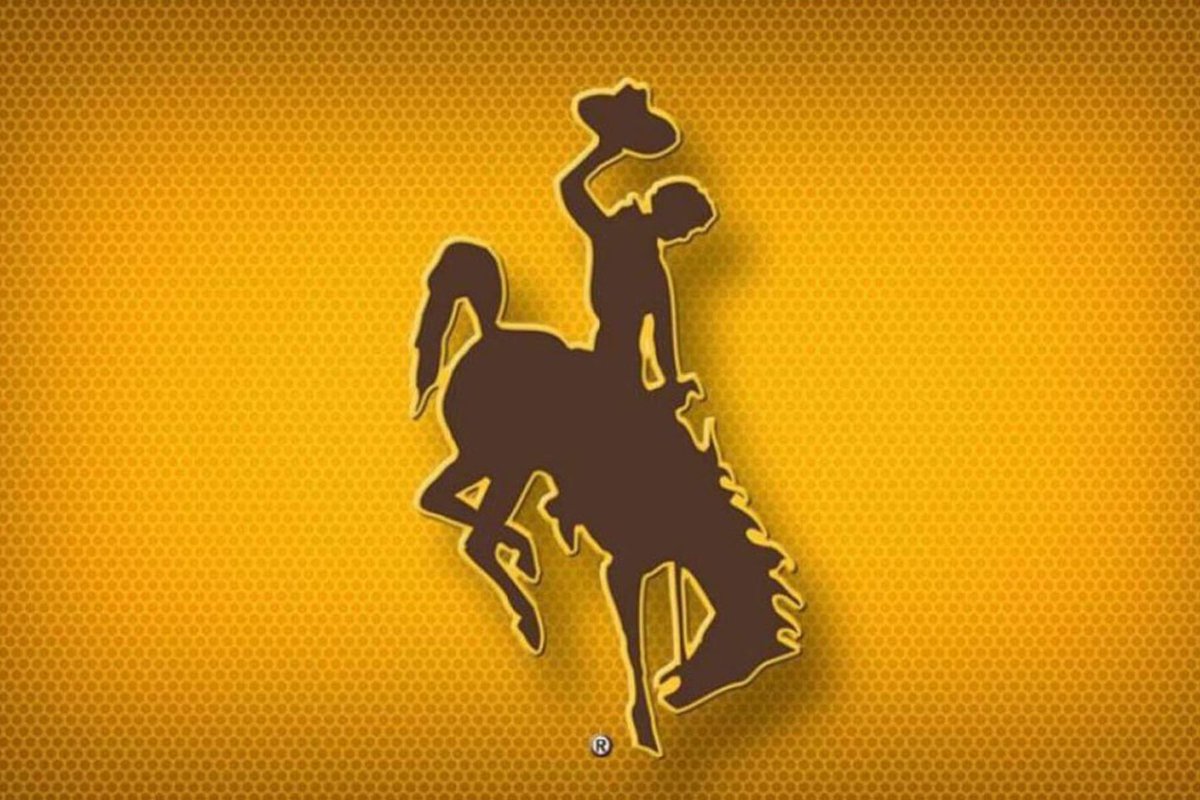 CordellMontgom9's tweet photo. After a Amazing talk with coach  @ghaugii7 I’m blessed to say I have received an offer from the University of Wyoming 🟡🟤 @adamgorney @GregBiggins @LMBPINKY @latsondheimer @BrandonHuffman @AdamSchefter @adamgorney @EdOBrienCFB @marvinpollard_6 https://t.co/QF8PHCYSzb
