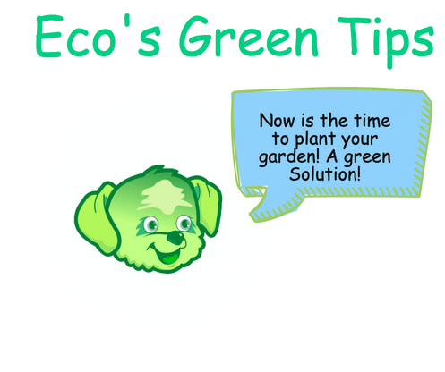 GreeningWorld's tweet photo. $ESR #ecostar #memecoins #cryptocurrency #tokens #NFTCommunity #Decentralized #NFTartist #plants #trees #ClimateCrisis #Recycle #GoGreen #CleanEnergy #SustainableBlockchain https://t.co/ViAp0erAcc https://t.co/ZqWeHN6Ug3