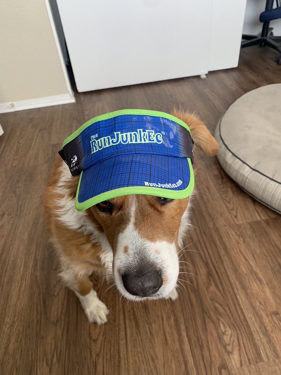 ejurado53's tweet photo. #HappyNationalRescueDogDay
#dogsoftwitter
#Axyl https://t.co/9vavZCjQi8