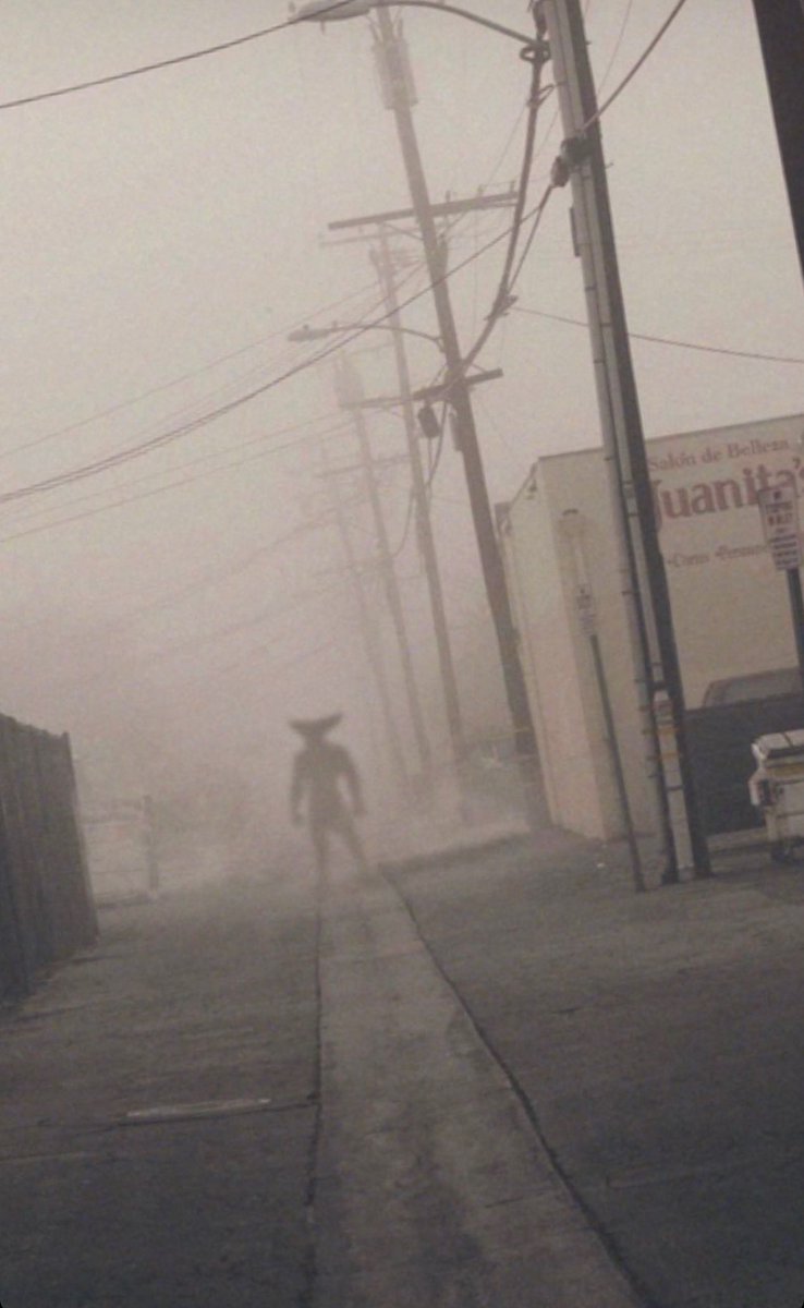 Nima Alinejad tweet media