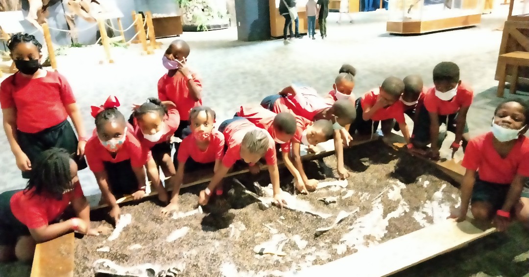 SACSOrlando's tweet photo. Kindergarten students had so much fun digging for fossils! https://t.co/cvqvplUIpF