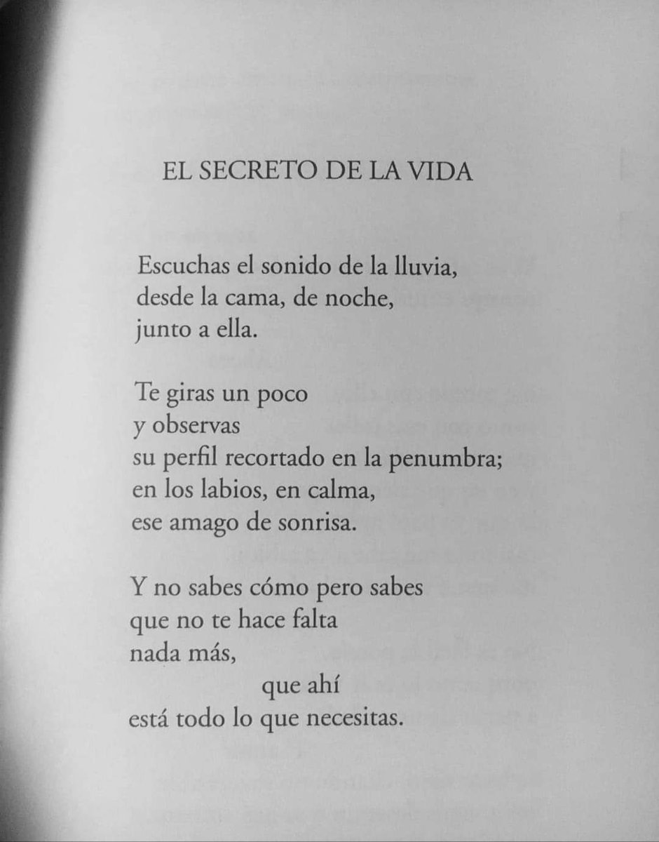 Tangadeleopardo's tweet image. Me paso una ves y es un sentimiento inexplicable... espero no sea la última.