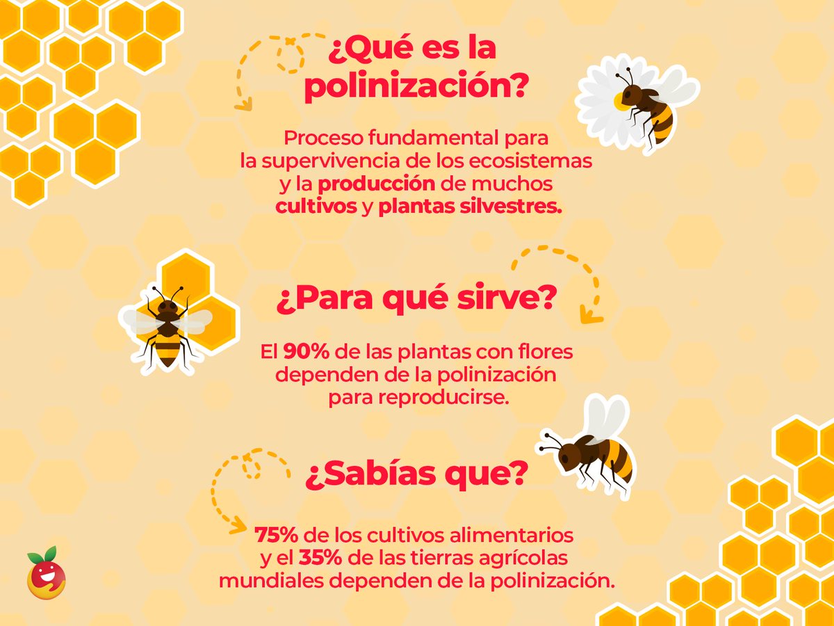 ¡Nuestro compromiso es con las abejas! Proteger a las abejas contribuye a resolver los 
problemas relacionados con el suministro de alimentos y a acabar con el hambre en los 
países en desarrollo. #DiaMundialdelasAbejas