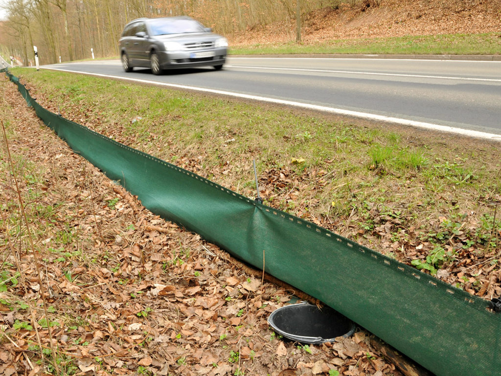 DasRuedi's tweet image. Warum nennen wir es eigentlich Krötenzaun und nicht Froschhaltefolie?