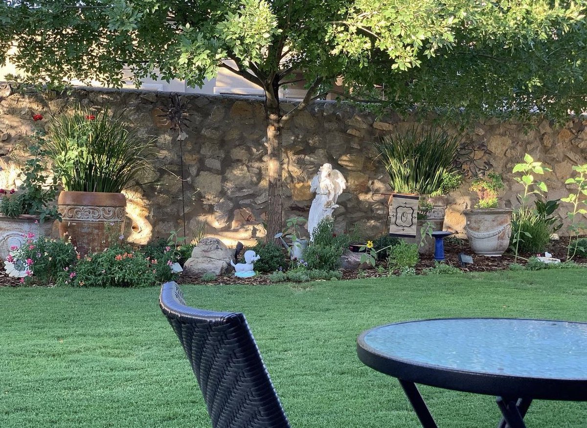 Godesigns_GO's tweet photo. Morning coffee, a good book and serene green makes for great morning starts. 

#GodesignsMakingCustomComfortable #ElPaso #NewMexico #Design #architecture #landscape #custombuild #landscapedesign #Texas https://t.co/lnqgSUyXbH