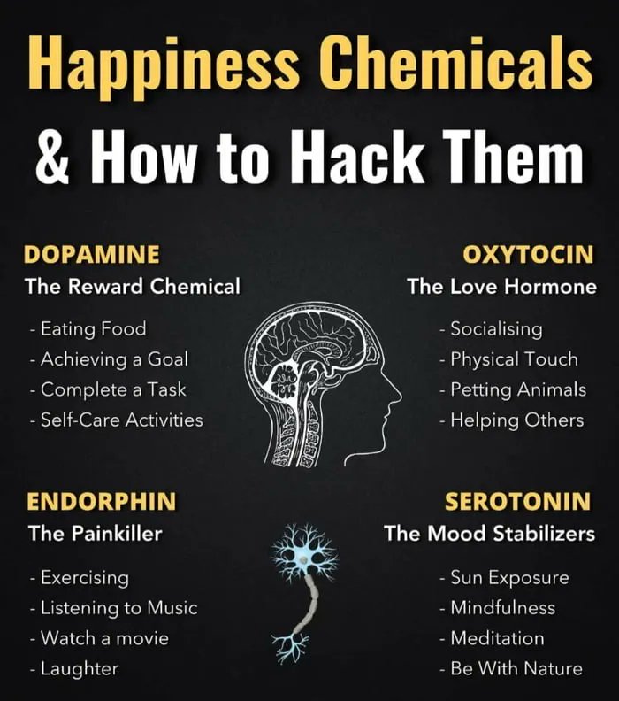 alvinfoo's tweet photo. Natural #Happiness chemicals https://t.co/pUdR2U6iZL