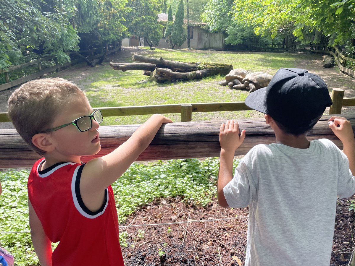 Emily_Kelly25's tweet photo. It turned out to be a gorgeous day for a zoo field trip! ⁦Thanks ⁦@BNLC_PTO⁩ and all the volunteers for making this possible! ⁦@BNLC_HCSD⁩ https://t.co/vxvLB6fFjp