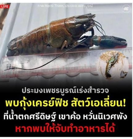 สมองหมุนช้า...🪐 tweet media