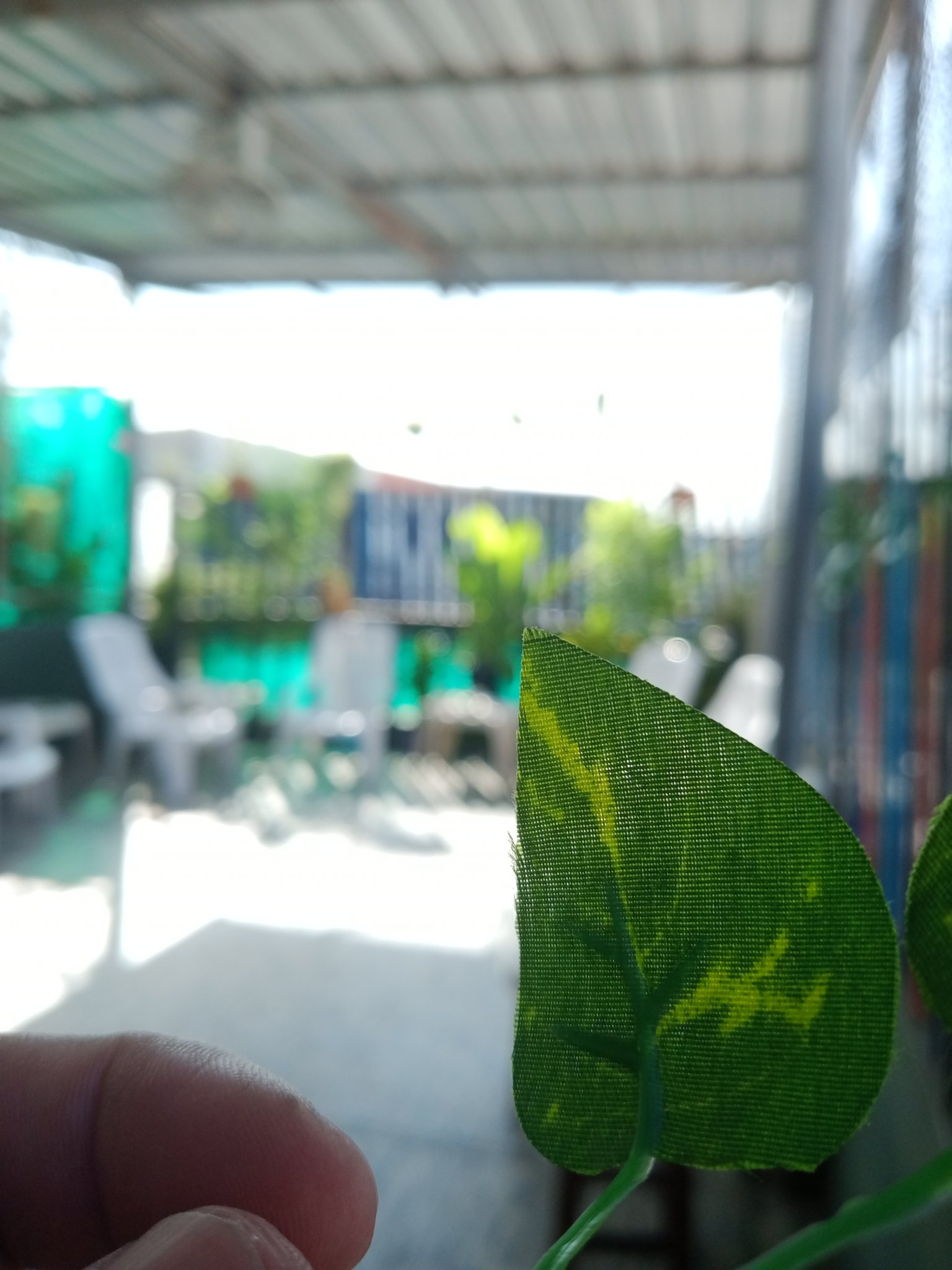 Gay Sauna Thailand (gaysaunathai) / Twitter