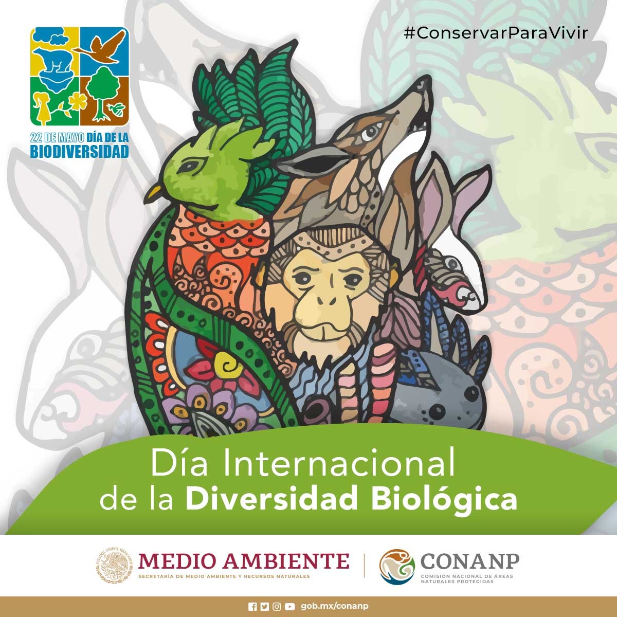 CONANP_mx's tweet photo. El tema del #DíaDeLaDiversidadBiológica para este año es "Construir un futuro compartido para toda la vida en la Tierra". 🌎✨

Recordemos que dependemos por completo de la naturaleza para disponer de agua, alimentos, medicamentos, ropa, refugio, energía, etc. 🌊🍎🌽🥦🍯💉👕⛽️🔋 https://t.co/0iJbjsE7gH