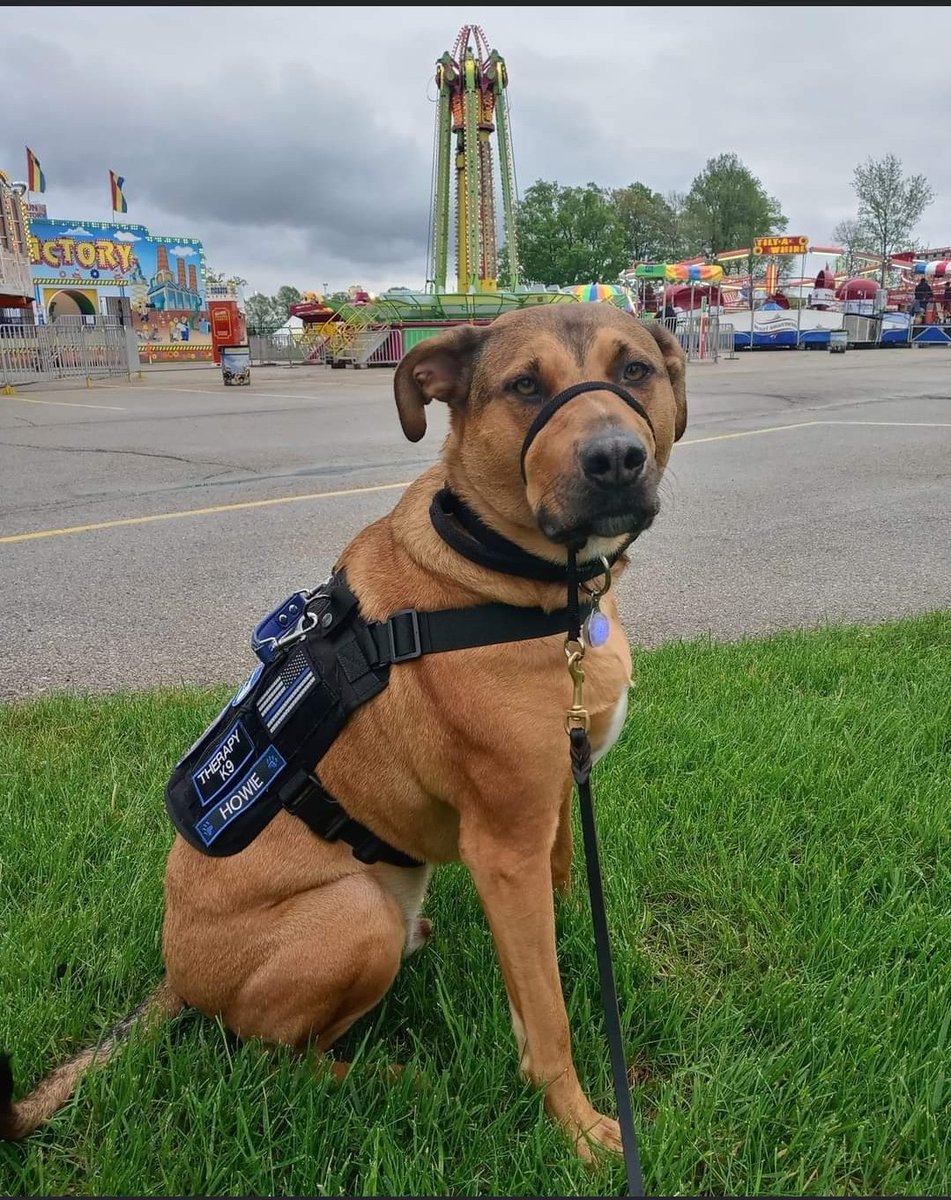 THPDnews's tweet photo. HAPPENING NOW:

Stop by the Hartford Town Hall (3360 Co Hwy K) and support the kids of St. Kilian Parish &amp; School at the Fun Fest!

Carnival games and rides, good food, and Rebel Grace plays at 7:30!

@SSS_Howie the Therapy Dog is also making the rounds with our our officers. https://t.co/oojtkbzrSF
