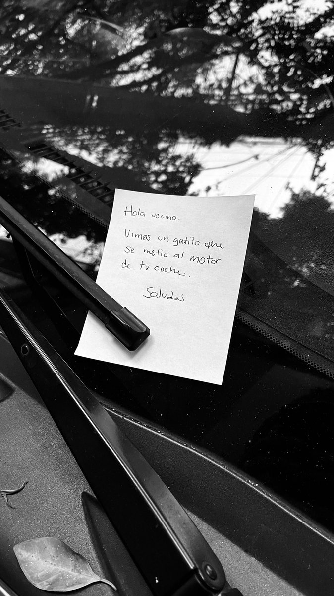 bernageek's tweet photo. Amigos de cdmx, abro hilo de como a una querida amiga le robaron $80,000 pesos en unos minutos, ella salió de su casa en la san Rafael y unos tipos y una señora estaban en su carro “tratando de rescatar un gatito” que estaba en el motor, ella se espantó y abrió rápidamente… https://t.co/j34CXfOTOz