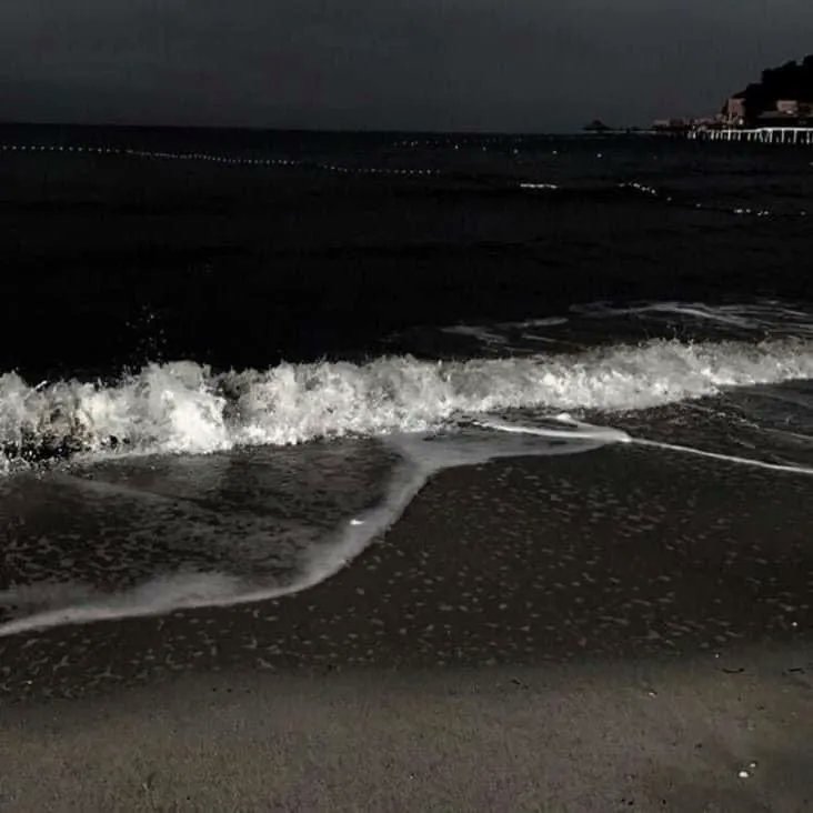 iteyoupone's tweet photo. beach at night 🖤 https://t.co/TKWky9QNAE