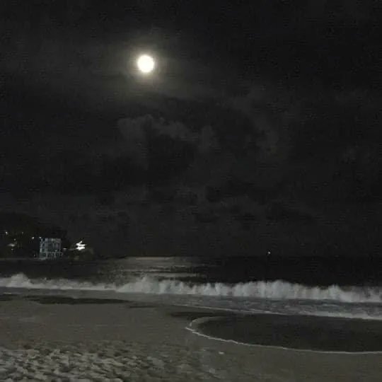 iteyoupone's tweet photo. beach at night 🖤 https://t.co/TKWky9QNAE