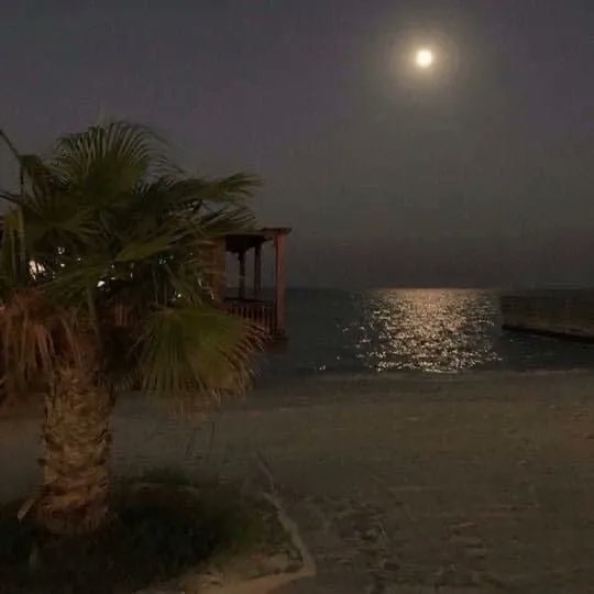 iteyoupone's tweet photo. beach at night 🖤 https://t.co/TKWky9QNAE