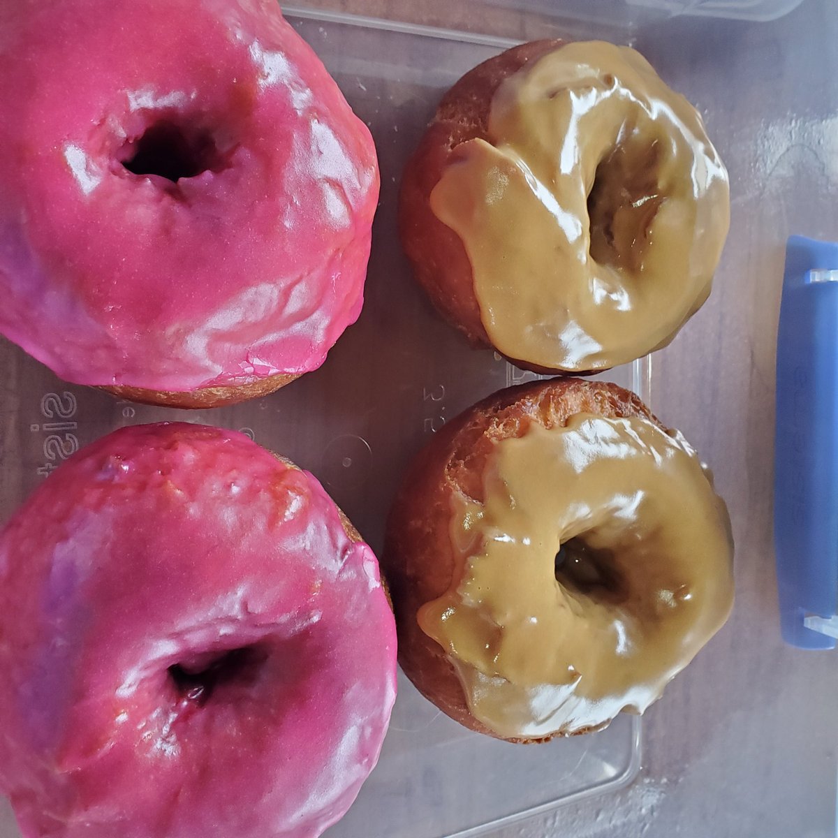 What else to do insolation with a sic kid. <a href="/torikawarrenpeu/">Torika Christian</a> <a href="/cushanatiare/">Cushana-Tiare Warren-Peu</a> 
# doughnuts  #pitcairn