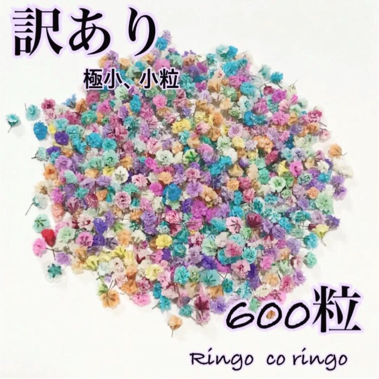 ringocoringo2's tweet photo. 小さな 極小､小粒もフリマアプリで出品しています。
よろしくお願いします。

 #かすみ草  #かすみ草ドライフラワー   #ドライフラワー   #ハンドメイド https://t.co/IoipViZtWS