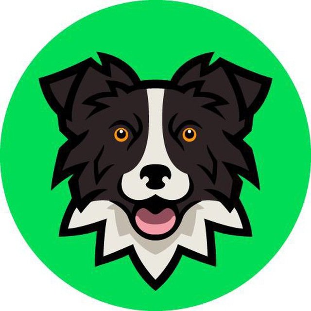 Rob16151770's tweet photo. @boredgentleman Buying it all up and them trading it for #apolloinu https://t.co/CUA6zXXrId