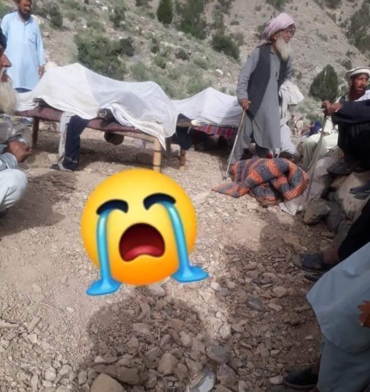 ☆🦋 سید محمد شاہ برکی☆🦋 tweet media
