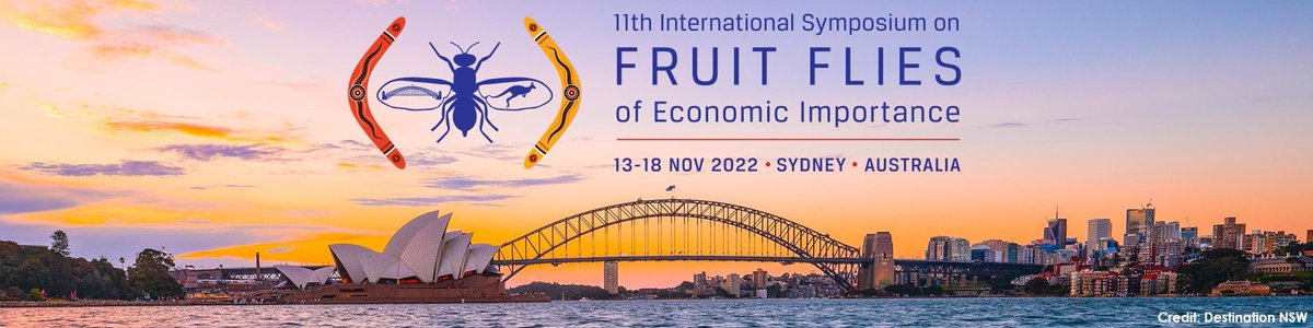 Abdel Bakri tweet media