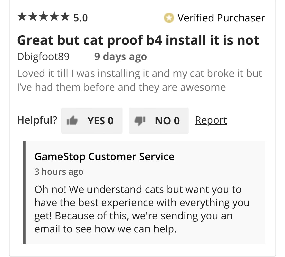 DBIGFOOT89's tweet photo. Gotta love #GameStop even tho my cat/I was at fault I guess I made someone laugh enough they are fixing it #FeelingLucky #darncat #cat #streamer https://t.co/4kX1TPnlqM