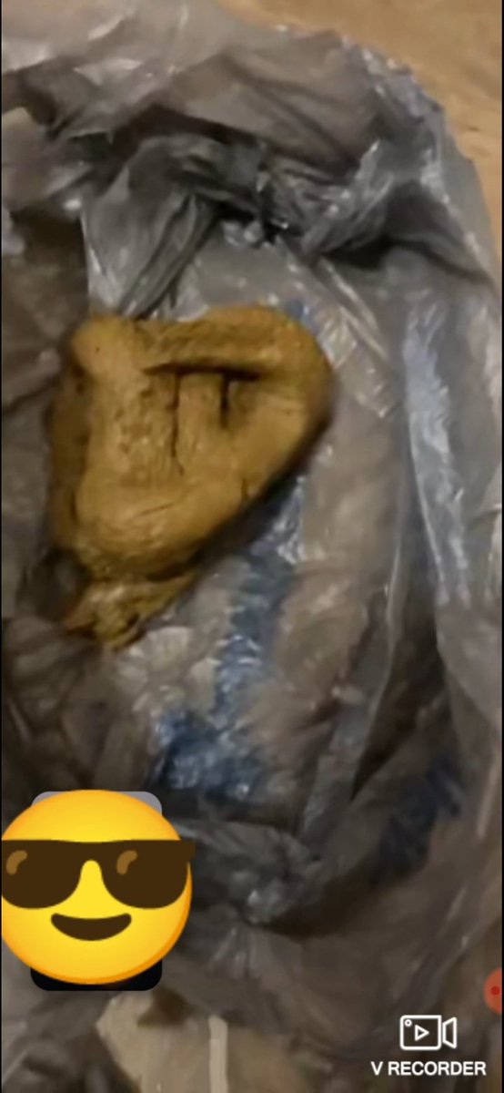 Dukedaplumber's tweet photo. https://t.co/ew1ROrTYCT
Big Butt Big Poop (3BP)
#Scat #Scatbbw #Scatgirl #Ebonyscat https://t.co/DrX7cnTDEg